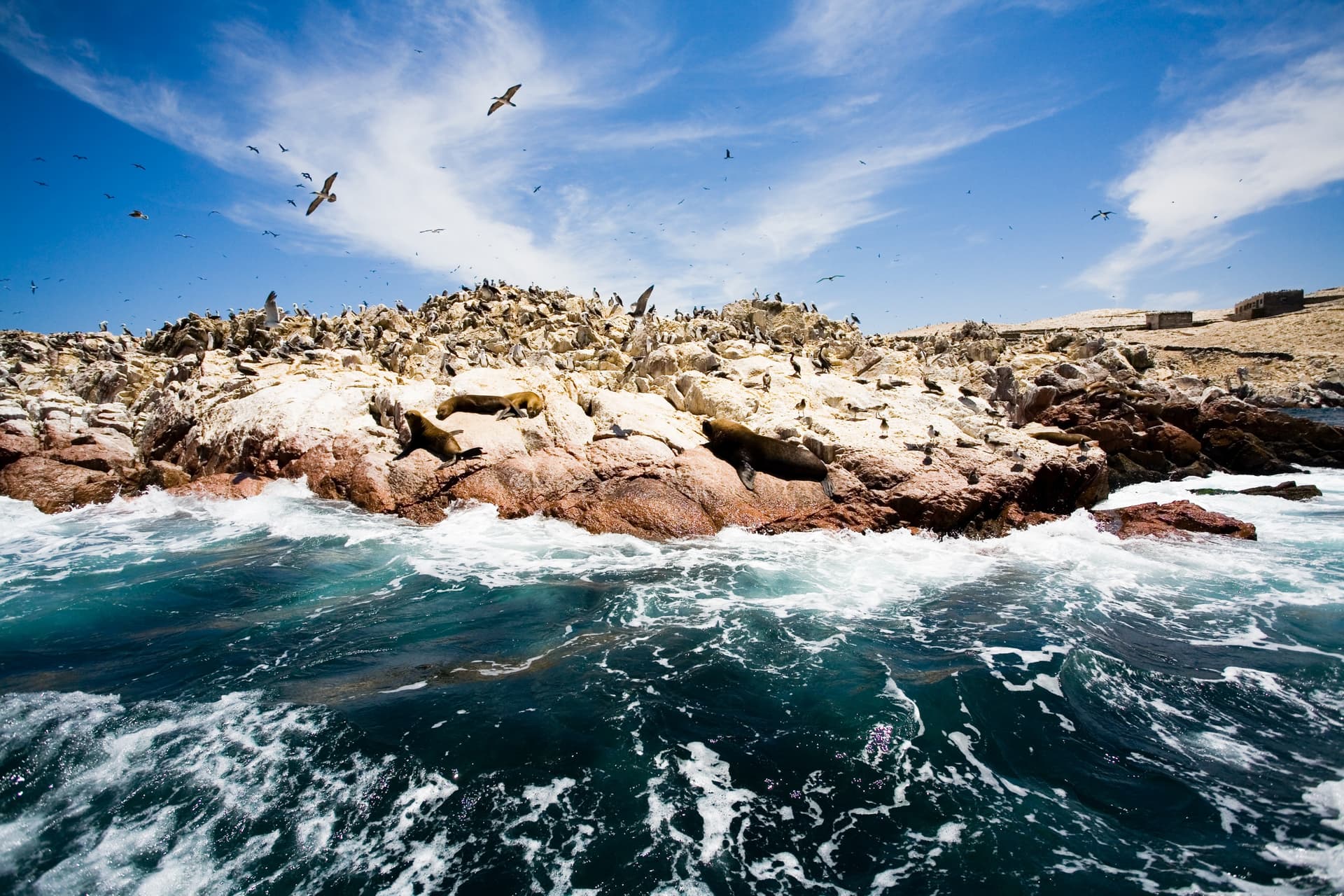 Isole Ballestas
