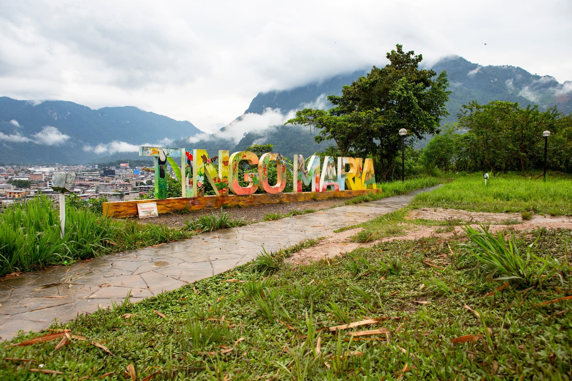 tingo maria 1