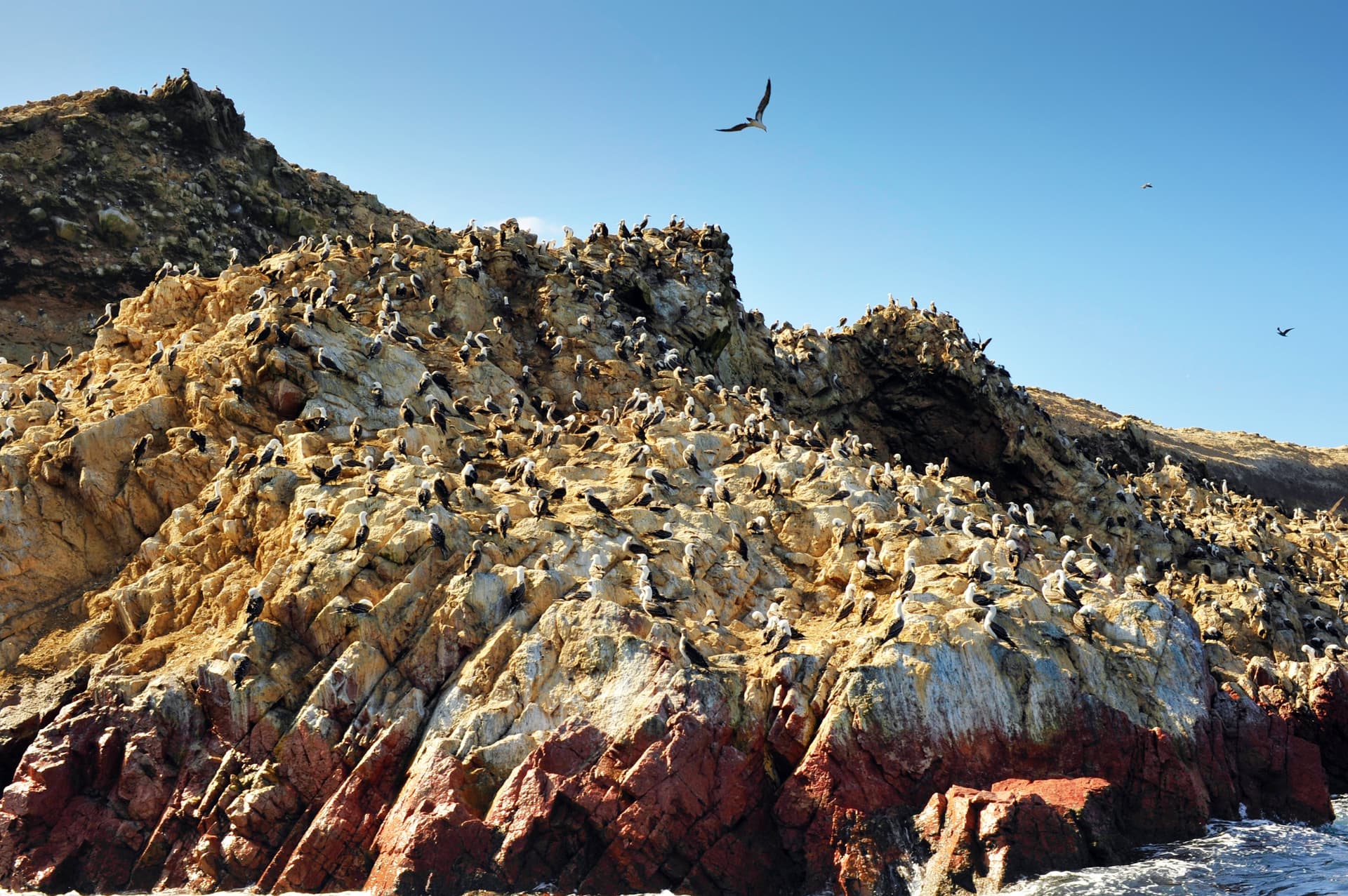 La Riserva Nazionale di Paracas